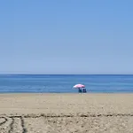 Lintras 토록스